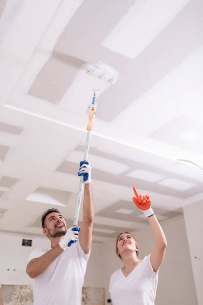 Best Asbestos and Lead Testing During Mold Inspection  in Munroe Falls, OH