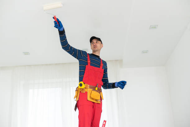 Best Forensic Mold Investigation  in Munroe Falls, OH
