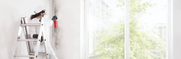 Best Mold-Related Health Consultation  in Munroe Falls, OH