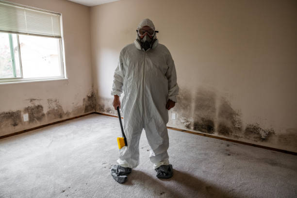 Best Emergency Mold Remediation  in Munroe Falls, OH